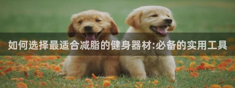 yy易游体育官网下载招商电话号码是多少啊:如何选择最适合减脂